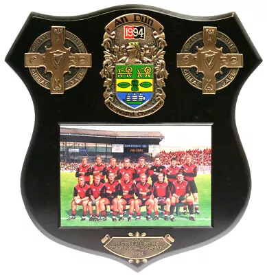 £120 • Buy Down All-Ireland Senior Football Champions 1994  GAA Plaque