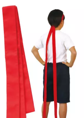 Japanese Traditional Head Band Long 300cm Hachimaki Red From Japan • $9.99