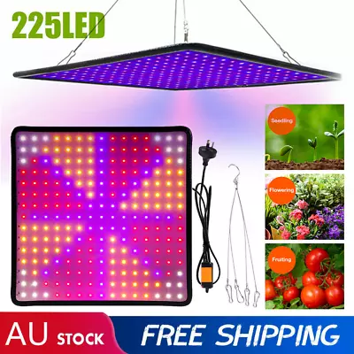 2000W LED Grow Light Hydroponic Full Spectrum Indoor Veg Flower Plant Lamp AU • $27.95
