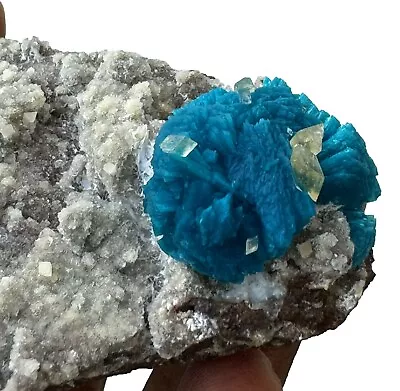 Self Standing Rare Cavansite With Calcite Rocks Crystals And Mineral Specimens • $197.60