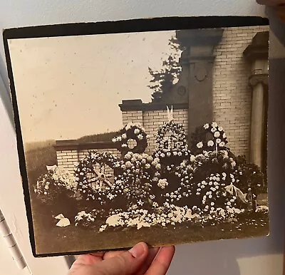 Antique Cabinet Photo C1900 Flowers Memorial Grave Cemetery 8 X9  Dove Wheel WOW • $22.99