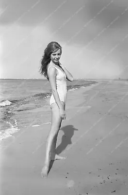 8b20-0481 French Actress Michelle Mercier In Swimsuit At The Beach 8b20-0481 8b2 • $13.99