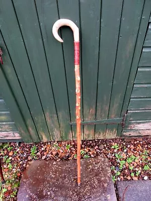 A Vintage Wooden Horn Handle Scottish Shepherd's Crook Walking Stick • £14.50