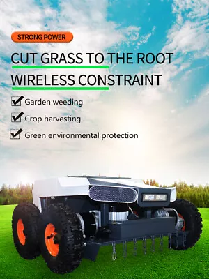 Remote Control Powered Lawn Mower Grass Mower With Durable Blade Garden Toy • $7999.99