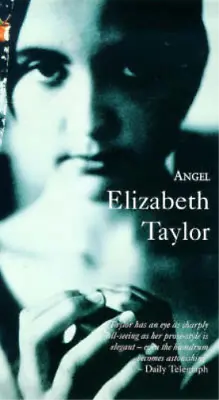 £3.58 • Buy Angel (Virago Modern Classics), Elizabeth Taylor, Used; Good Book