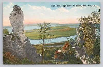 The Mississippi From The Bluffs Savanna Illinois C1910 Antique Postcard • $4.40