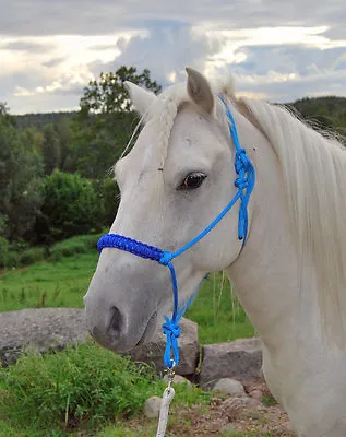 EASY-DOES-IT ROPE HALTER With BRAIDED NOSEBAND. PARELLI ETC. From Mini To Draft. • £25