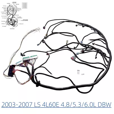 For 03-07 LS 4L60E 4.8/5.3/6.0L DBW Engine Standalone Wire Harness Drive By Wire • $83.50