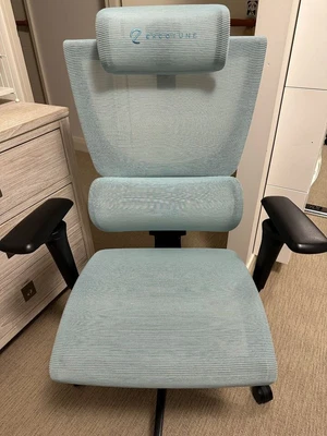 $550 • Buy ErgoTune Supreme Ergonomic Office Chair - Adjustable Backrest Desk Chair, 5D