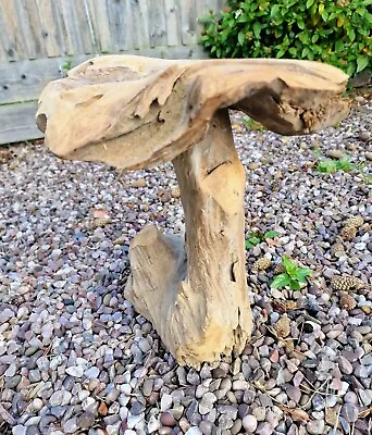Teak Root Toadstool Mushroom Garden Ornament Indoor Outdoor Decor Sculpture 30cm • £44.99