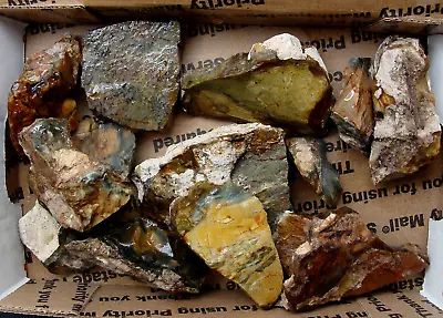 32 Ounces Rare Lower Cliff Claim Morrisonite Jasper Rough Specimens Cabs Tumble • $80