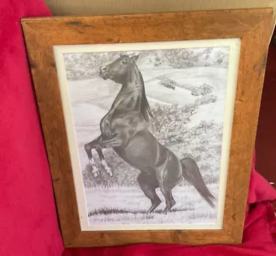 Vintage Framed Pencil Drawing Of A Horse Rearing Up Distressed Frame 15in X 19in • £20