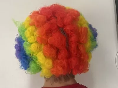 Rainbow Curly Hair From Style Wig • £3