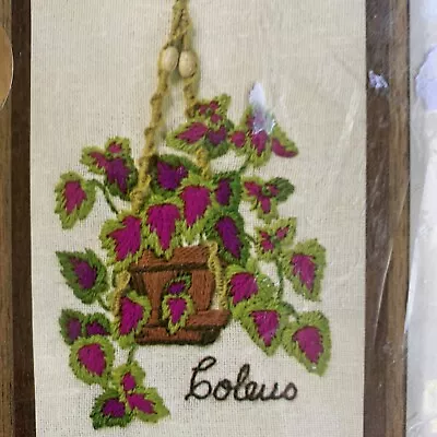 Hanging Pot Of Coleus Vintage Crewel Kit JIffy Stitchery NIP 5x7 • $14