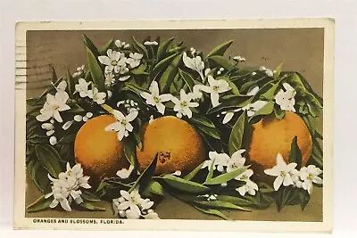 Oranges And White Blossoms Flowers H&WB Drew Co Publisher Florida FL Postcard B7 • $7.45