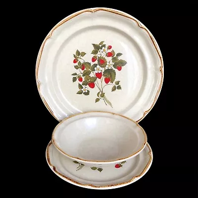 Endura Collection La Fraise Dinner Salad Plates Soup Bowl Japan Stoneware 6856 • $24