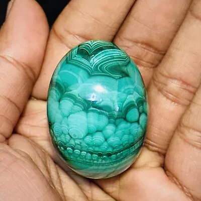 Amazing Green Malachite Egg With Beautiful Markings High Quality 86 Gms - MAL25 • $37
