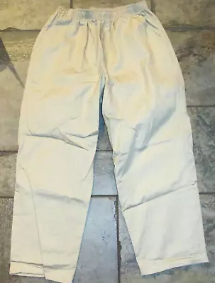 Cabin Creek Womens Pull On Pants Beige Size 16WP 16 Plus Pockets Elastic Waist • $29.64