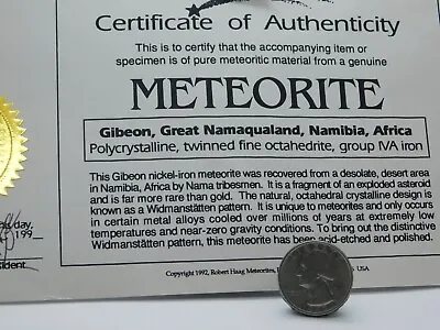 Meteorite On Adjust. Necklace Millions Of Years Old Or Use As Talisman C.o.a.  • $39.99