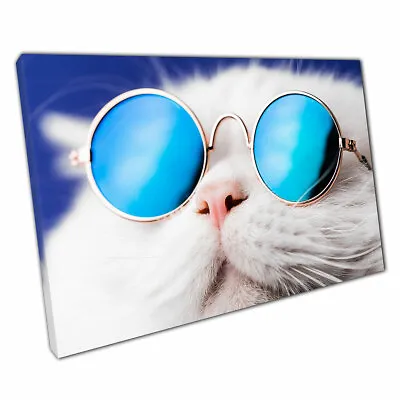 Funny Cool White Cat Posing In Blue Modern Retro Sunglasses Animal Print Canvas • $21.49