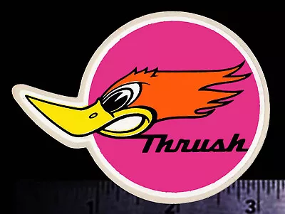 THRUSHGlasspack Mufflers - Original Vintage 1960's 70's Racing Decal/Sticker A • $6.75