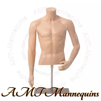 Male Realistic Mannequin+ Base Adjustable Hgt Half Body Realistic Torso-MT3-FW • $69