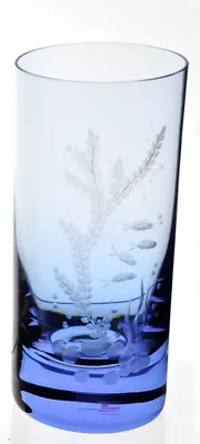 Moser Blue Glass Ocean Sea Life Highball Tumbler Colored Signed • $135