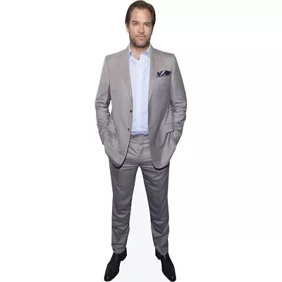 Michael Weatherly (Grey Suit) Mini Size Cutout • $19.97