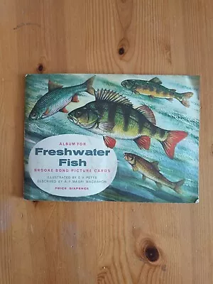 £1 • Buy Brooke Bond Album Freshwater Fish 1960 C/w Full Set Of Cards
