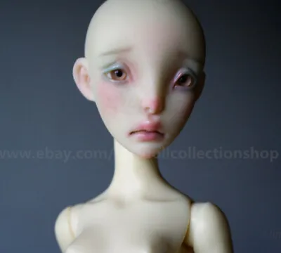 16IN Girl Doll Lillycat Constantine 1/4 BJD MSD Doll Joints Doll Free Face Up • $139.99