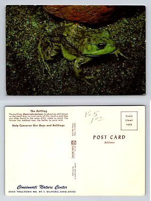 The Bullfrog Cincinnati Nature Center Milford OH Postcard Chrome Unposted • $4.90