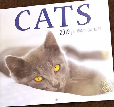 2019 Cats 12 X11   Wall Calendar  • $4.88