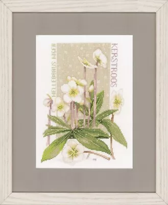 Lanarte Cross Stitch Kit - Pure White - Hellebore Christmas Rose • £27.50