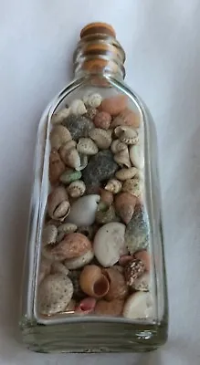 Miniature Seashell Collection Sealed In ANTIQUE Glass Bottle  W/ Cork & Seal 4   • $7.99