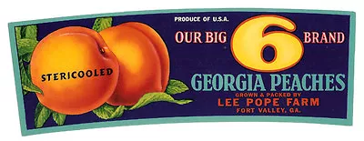 Vintage Original OUR BIG 6 Peach Fruit Crate Label LEE POPE Fort Valley GEORGIA • $2.95