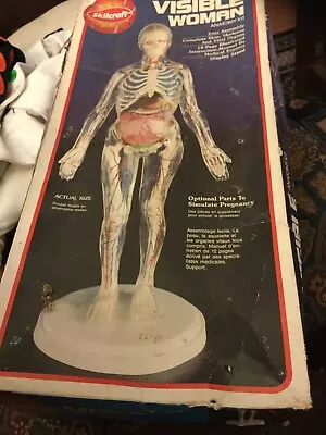 Skilcraft Visible Woman Actual Anatomically Plastic Model Kit #74623 • $29.77