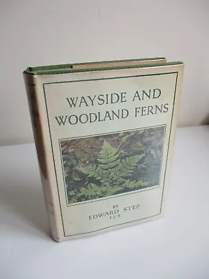 1947 WAYSIDE AND WOODLAND FERNS Edward Step HORSETAILS Club-Mosses HB D/J • £28