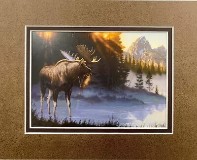 Crowning Light By Tom Mansanarez Moose Print Double Matted Fits 10x8 Frame • $12.98
