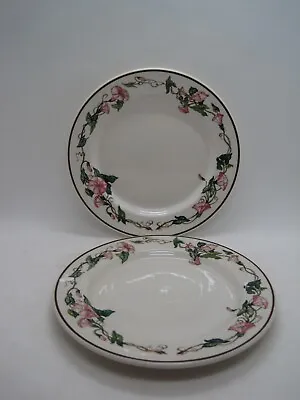 2 Villeroy & Boch PALERMO Morning Glory Bread And Butter Plates Restaurant Ware • $16