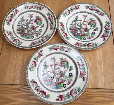£15 • Buy Vintage Indian Tree Johnson Brothers 3 X 22.5cm Plates.
