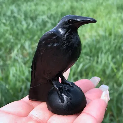 Natural Obsidian Crystal Hand Carved Raven Skull Quartz Reiki Decoration 1pc • $15.99