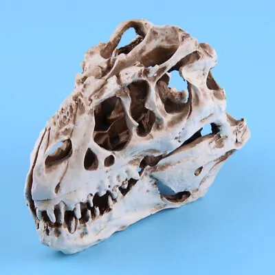 Tyrannosaurus T-Rex Dinosaur Resin Fossil Skull Model Collectibles Display • £23.29