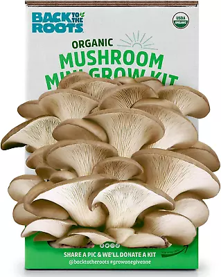 Organic Mini Mushroom Grow Kit Harvest Gourmet Oyster Mushrooms In 10 Days Top • $19.74