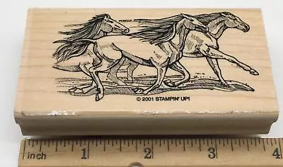 WILD HORSES RUN Western Cowboy Ranch Equestrian Dream Stampin' Up! RUBBER STAMP • $12.95