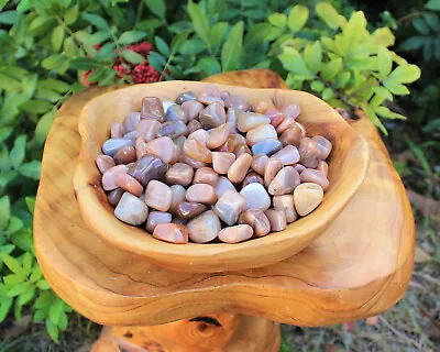 1/2 Lb Bulk Lot PEACH Moonstone Tumbled Stone Crystal Healing Reiki Tumble 8 Oz • $19.95