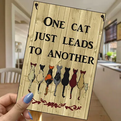 Cat Sign-Cat Themed Gifts-Crazy Cat Lady Plaque-One Cat Leads To Another-063 • £7.99
