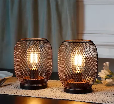 Set Of 2 Egg Shape Novelty Metal Cage Cordless Lamps With LED Bulb • £45.84