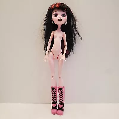 RARE HTF 2009 Mattel Monster High First Wave DRACULAURA Collectible Nude Doll • $49.95