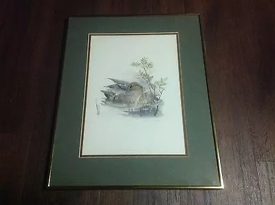 Mads Stage Watercolor Print Framed Matted Green Winged Teal Anas Crecca • $23