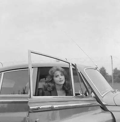 American Actress Tina Louise Car During 19th Venice International - Old Photo • $9